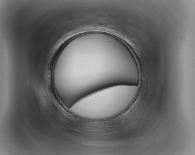 X0000114491503200910191106
