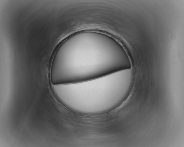 X0000114491505200910191106