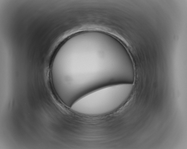 X0000114491507200910191106