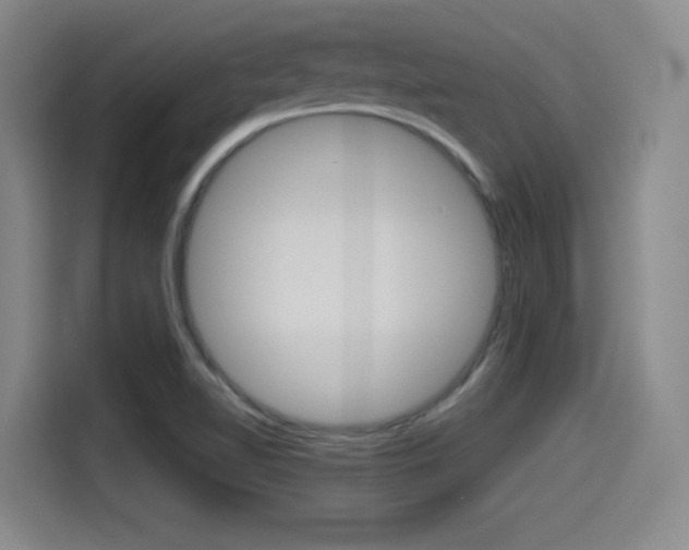 X0000114491510200910191106