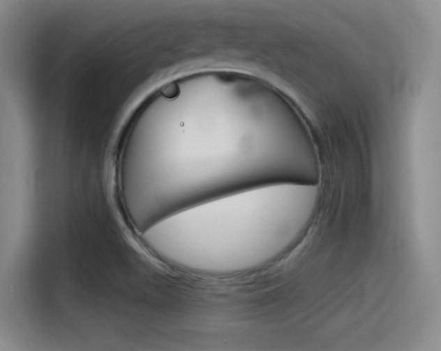 X0000114491511200910191106