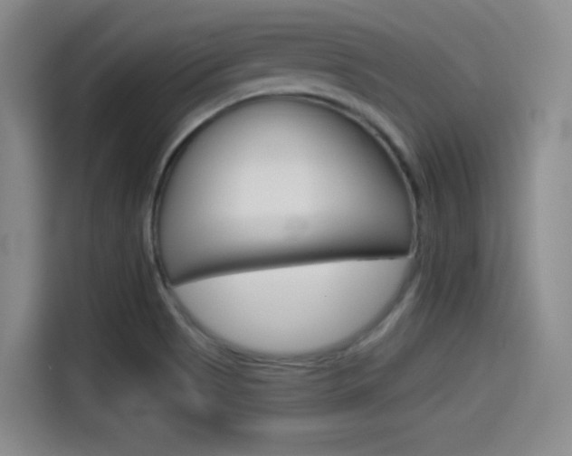 X0000114491513200910191106