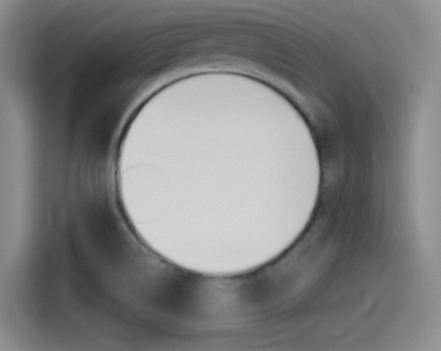 X0000114491514200910191106