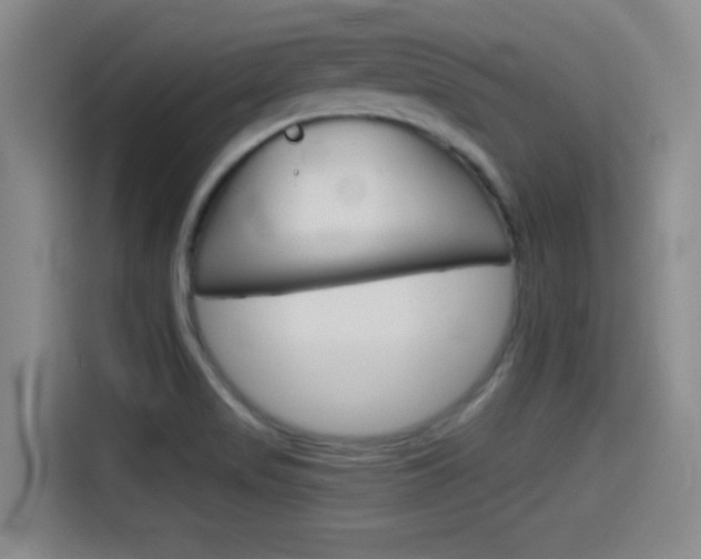 X0000114491517200910191106