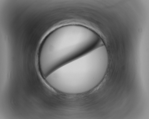 X0000114491518200910191106