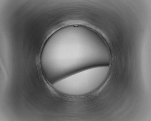 X0000114491521200910191106