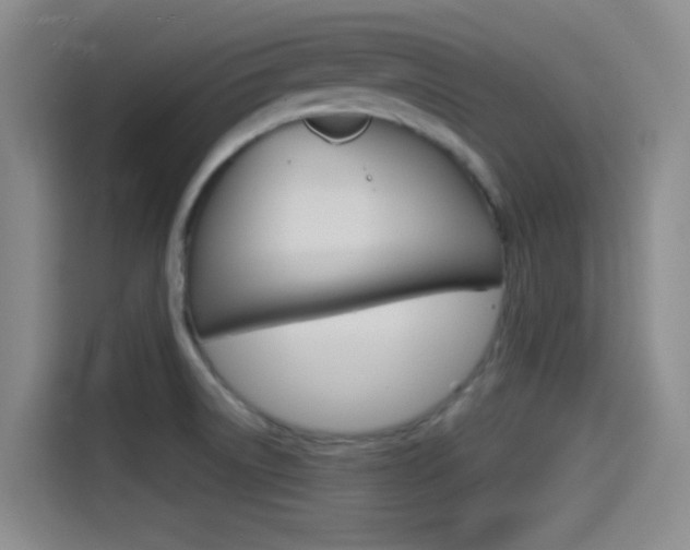 X0000114491522200910191106