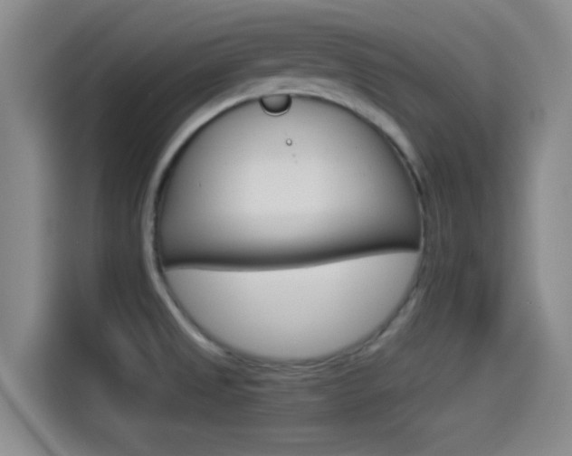 X0000114491525200910191106