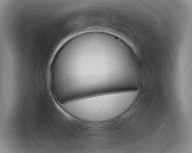 X0000114491527200910191106