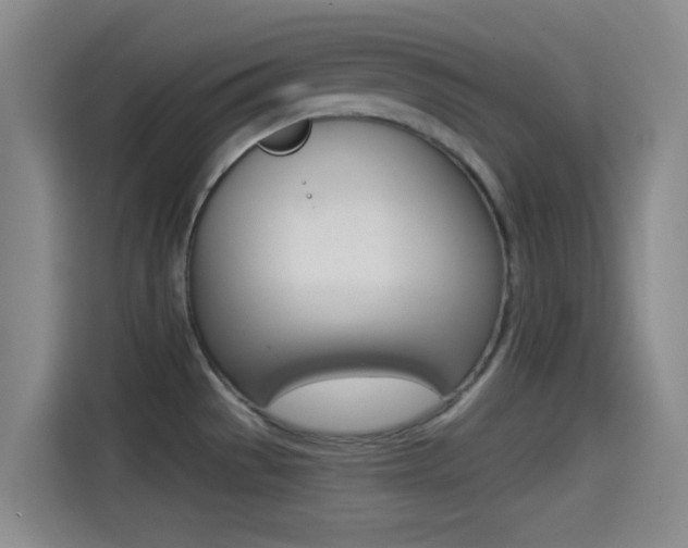 X0000114491529200910191106
