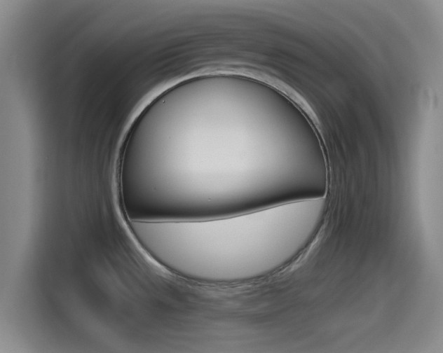 X0000114491533200910191106