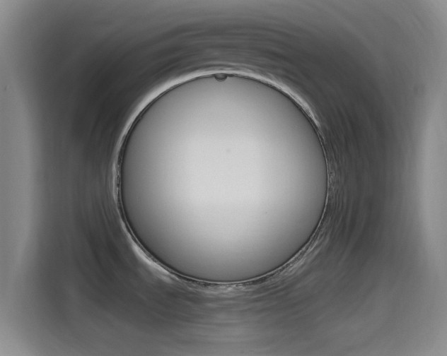 X0000114491535200910191106