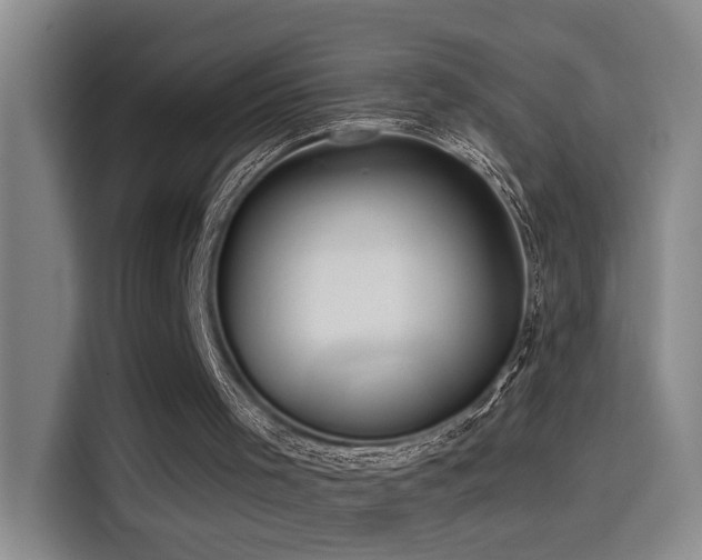 X0000114490001200910191240