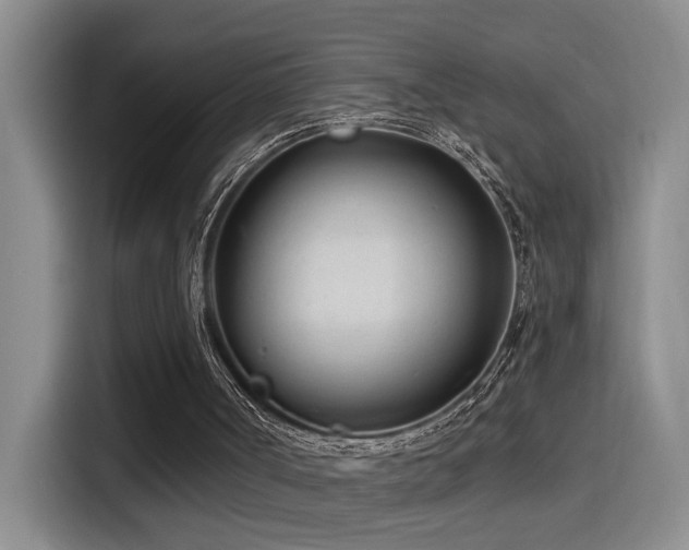X0000114490002200910191240