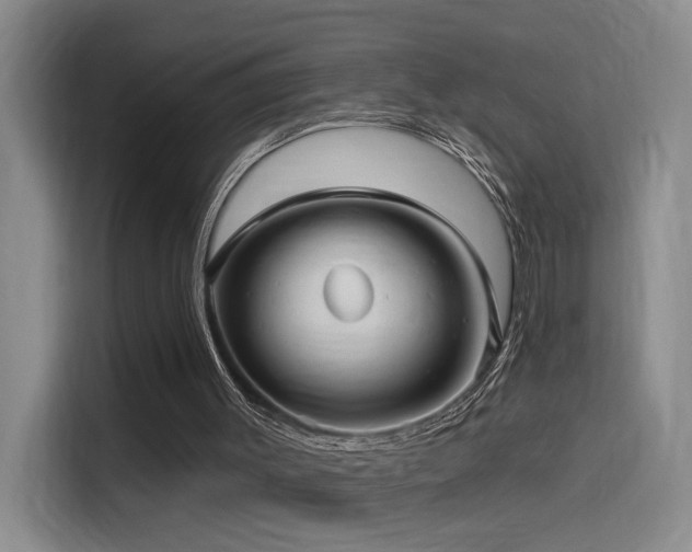 X0000114490003200910191240