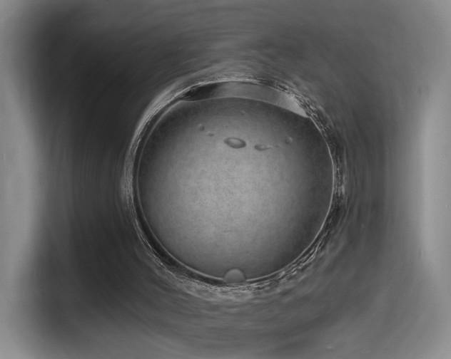 X0000114490004200910191240
