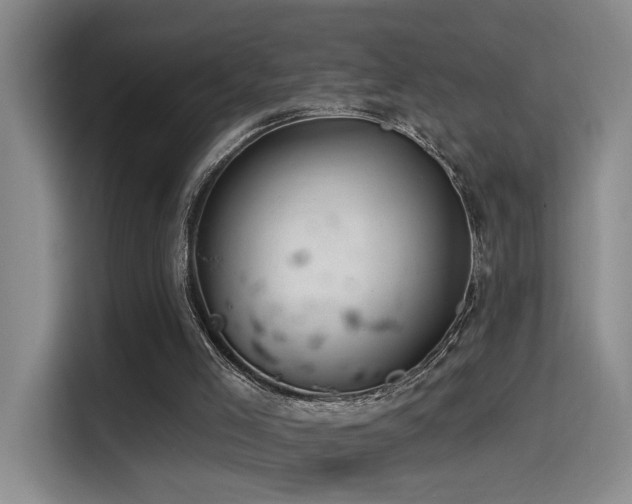X0000114490005200910191240