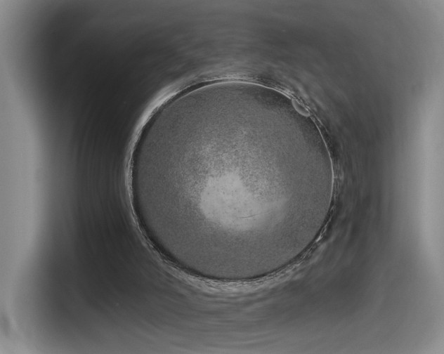 X0000114490006200910191240