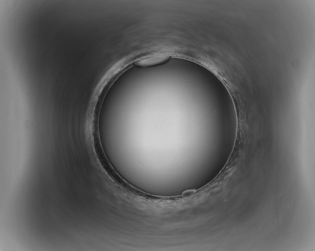 X0000114490007200910191240