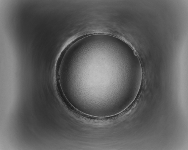 X0000114490008200910191240
