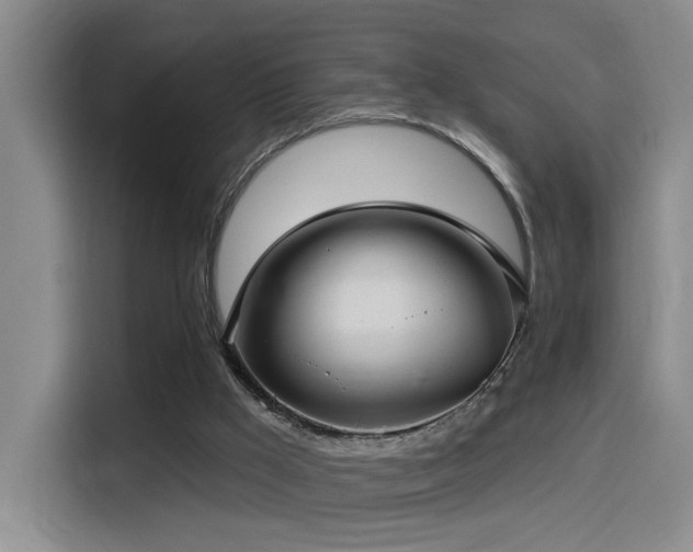 X0000114490009200910191240
