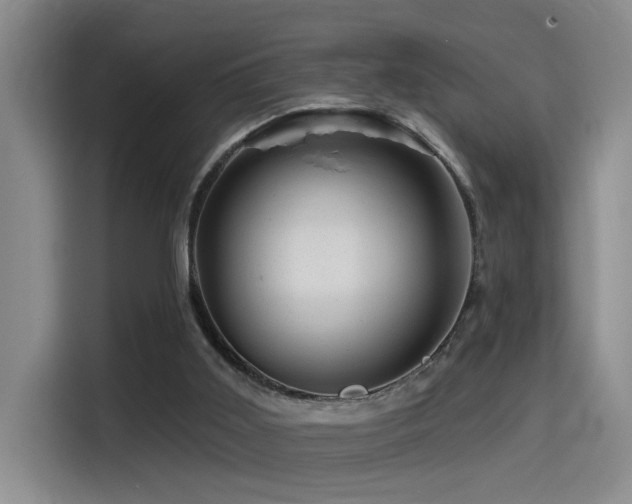 X0000114490011200910191240