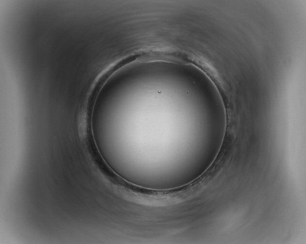 X0000114490012200910191240