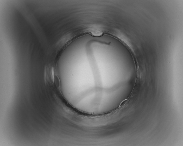 X0000114490013200910191240