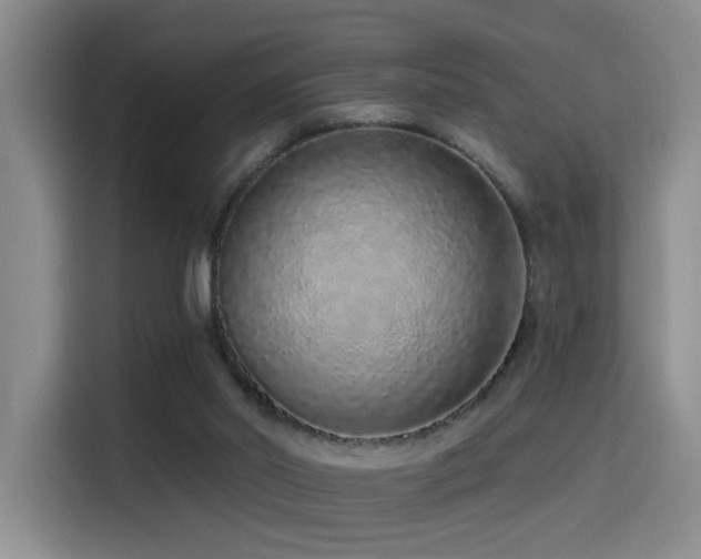 X0000114490014200910191240