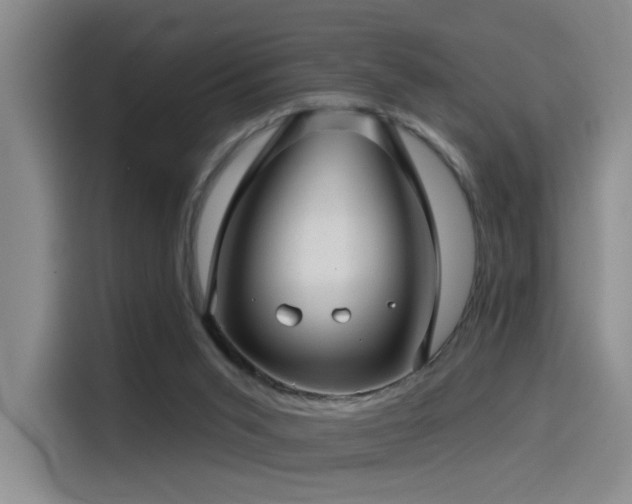 X0000114490015200910191240