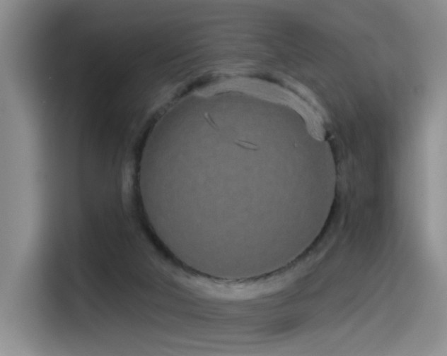 X0000114490018200910191240
