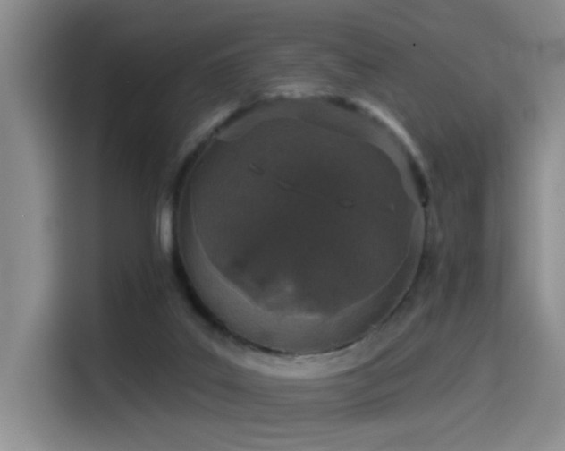 X0000114490019200910191240
