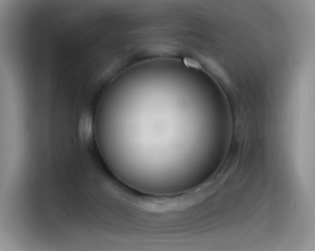 X0000114490021200910191240