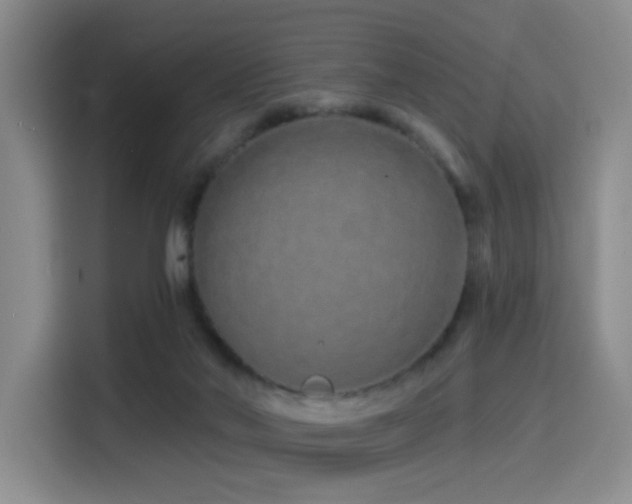 X0000114490022200910191240
