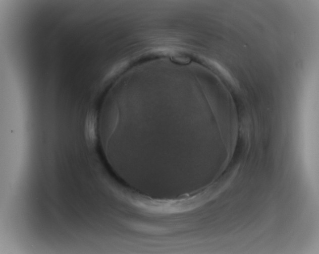 X0000114490023200910191240
