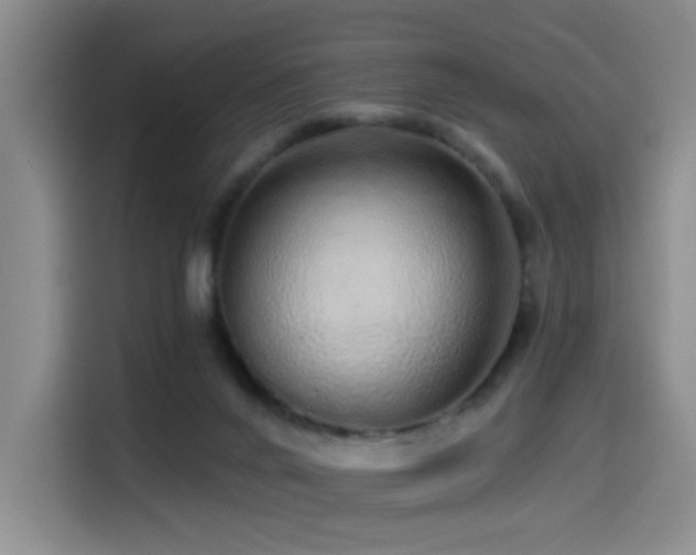X0000114490024200910191240