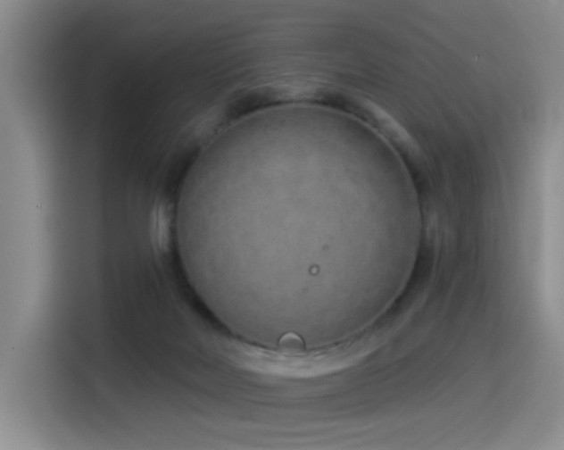 X0000114490026200910191240