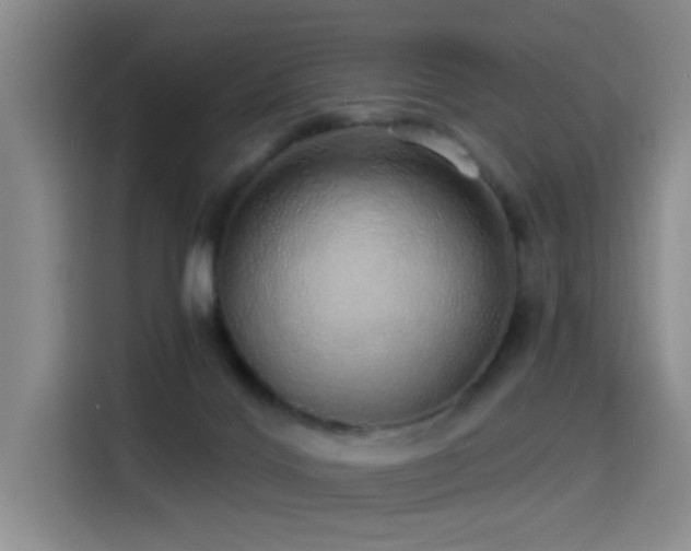 X0000114490028200910191240