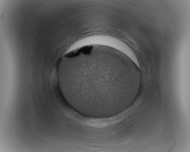 X0000114490029200910191240