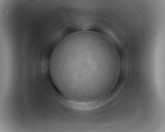 X0000114490030200910191240