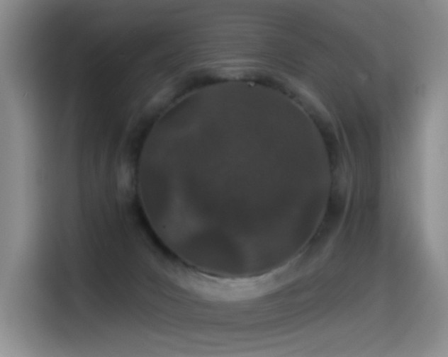 X0000114490031200910191240