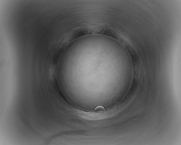 X0000114490034200910191240