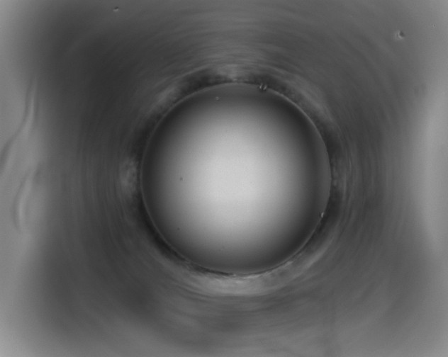 X0000114490036200910191240