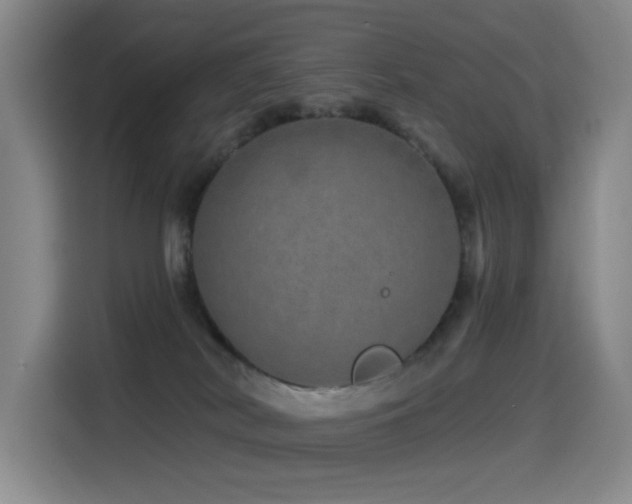 X0000114490038200910191240