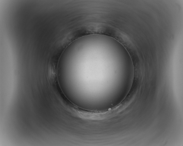 X0000114490040200910191239