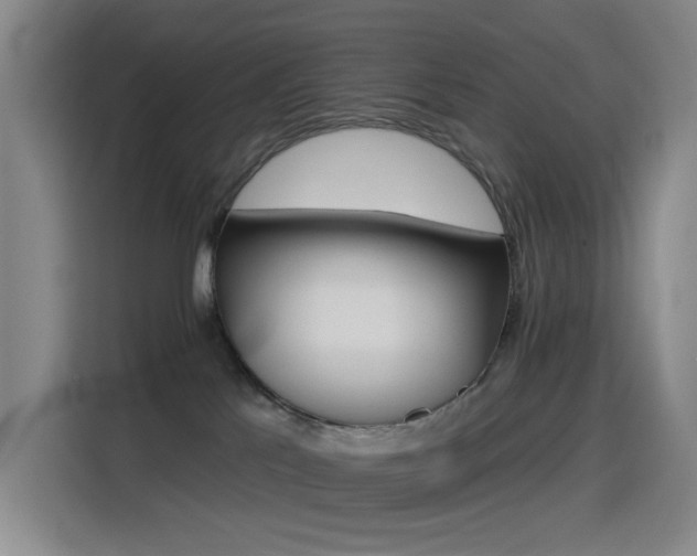 X0000114490041200910191239