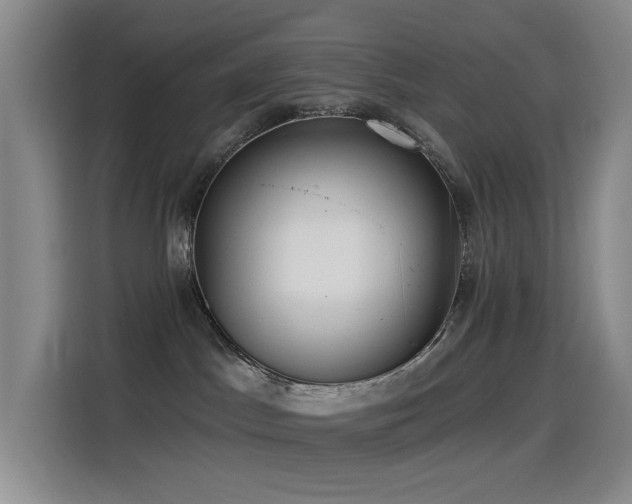 X0000114490045200910191239