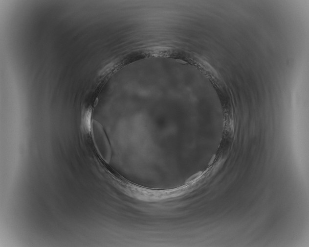 X0000114490047200910191239