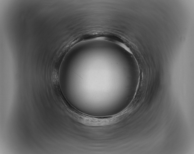 X0000114490048200910191239
