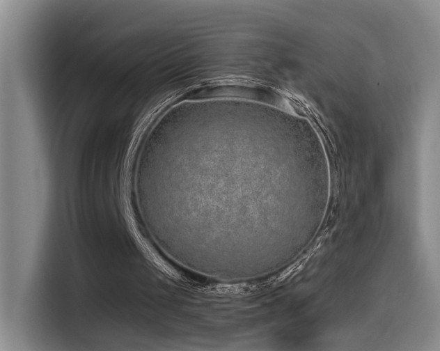 X0000114490049200910191239